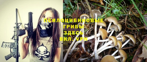тгк Михайловка